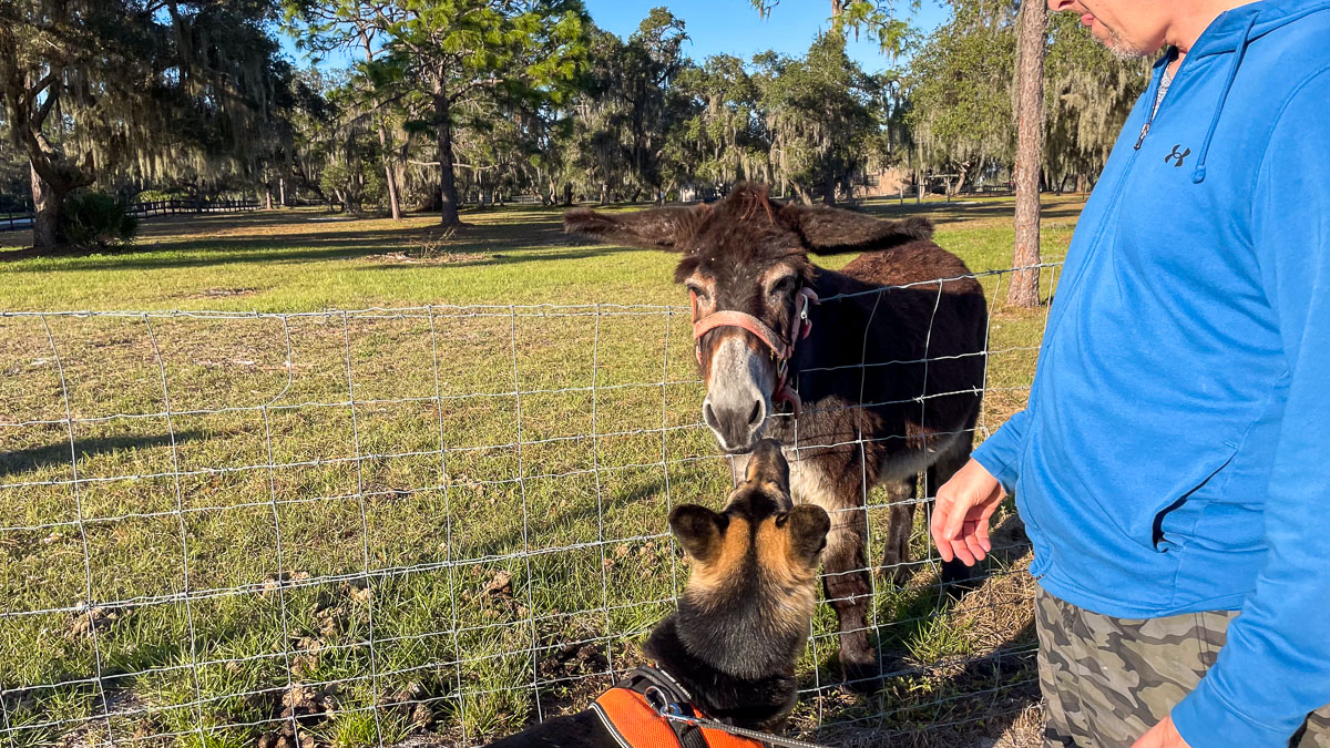 IMG_3295_2024-01 Lake Wales FL