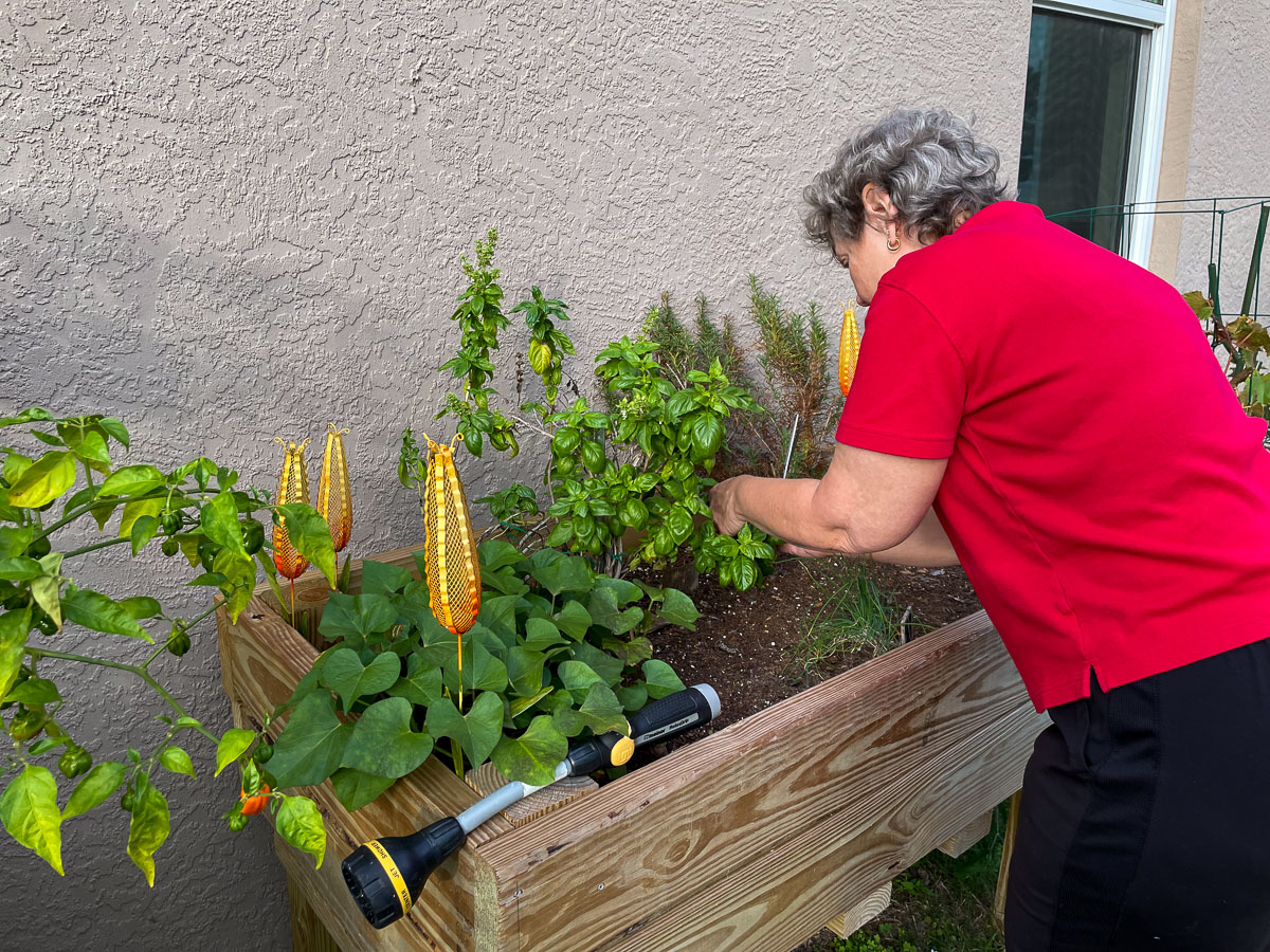 IMG_3357_2024-01 Lake Wales FL