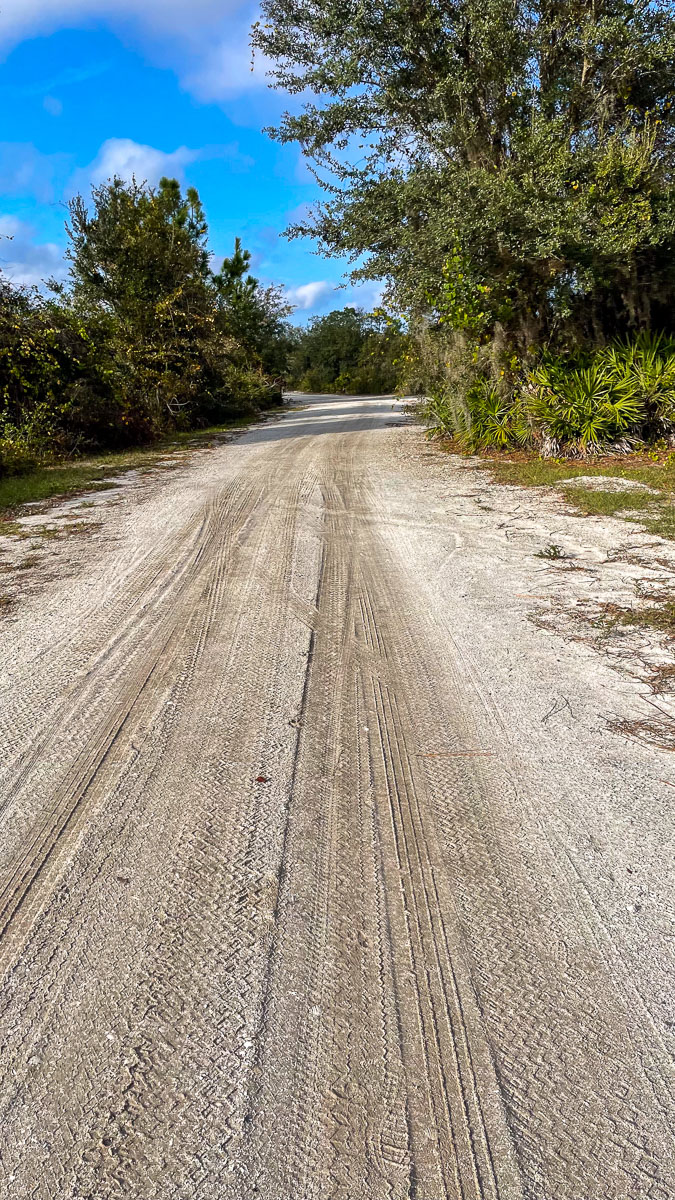 IMG_3481_2024-01 Lake Wales FL