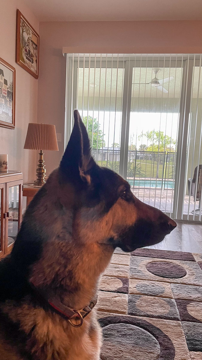 IMG_3523_2024-01 Lake Wales FL