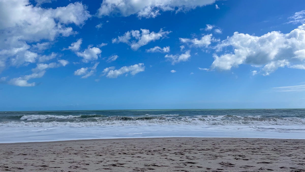 IMG_3641_2024-01 Lake Wales FL