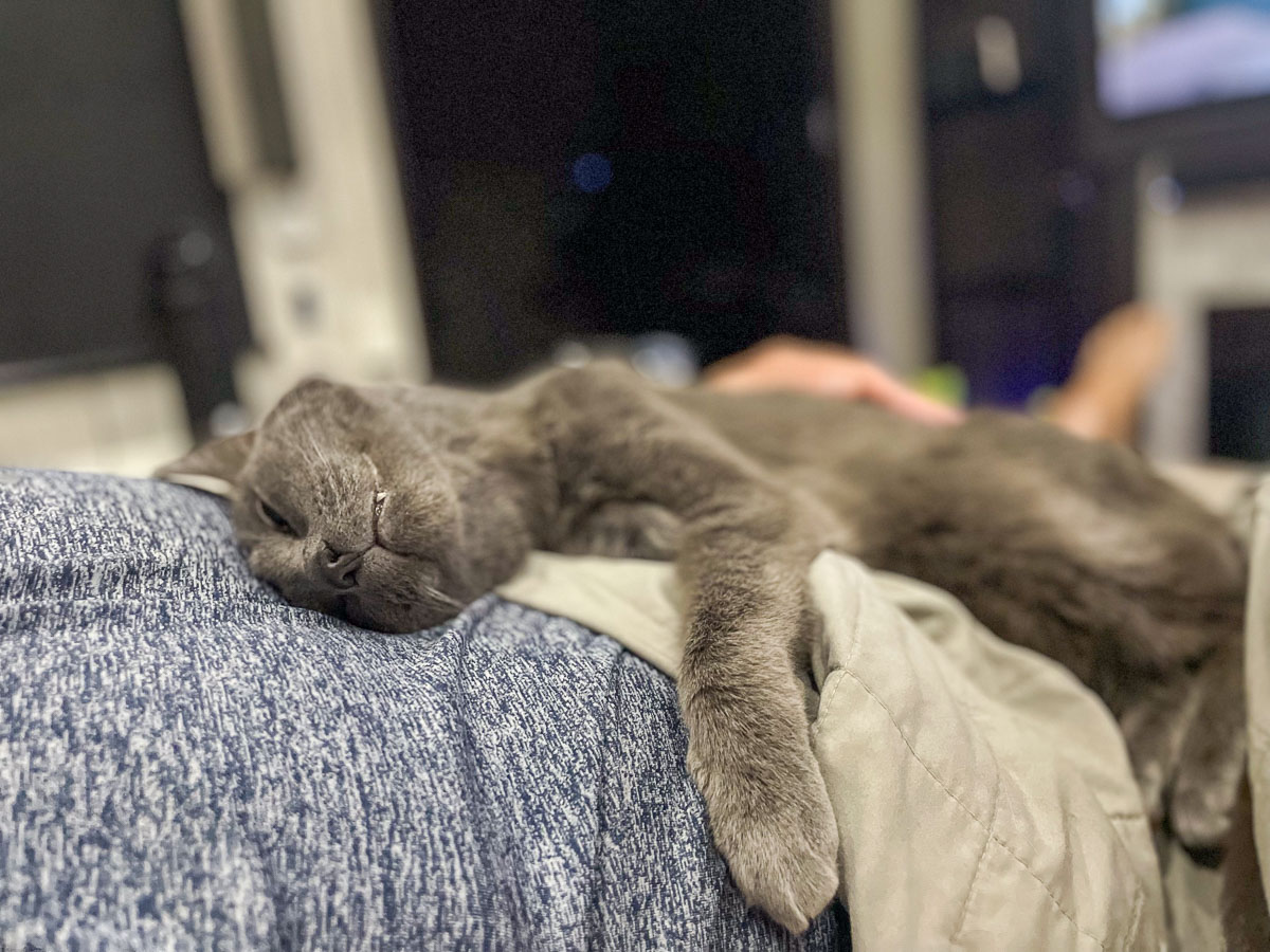 IMG_3755_2024-03 Ocala FL