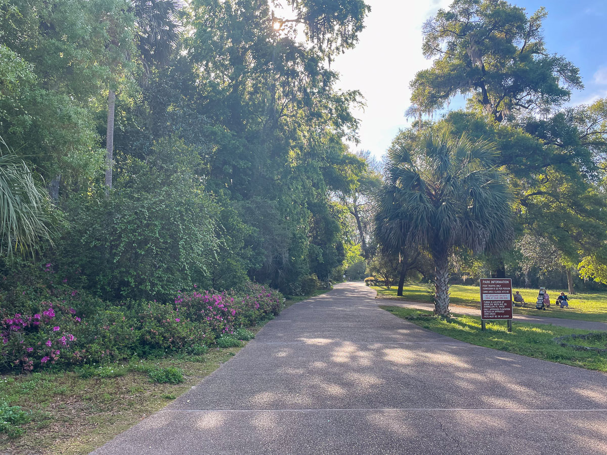 IMG_3764_2024-03 Ocala FL