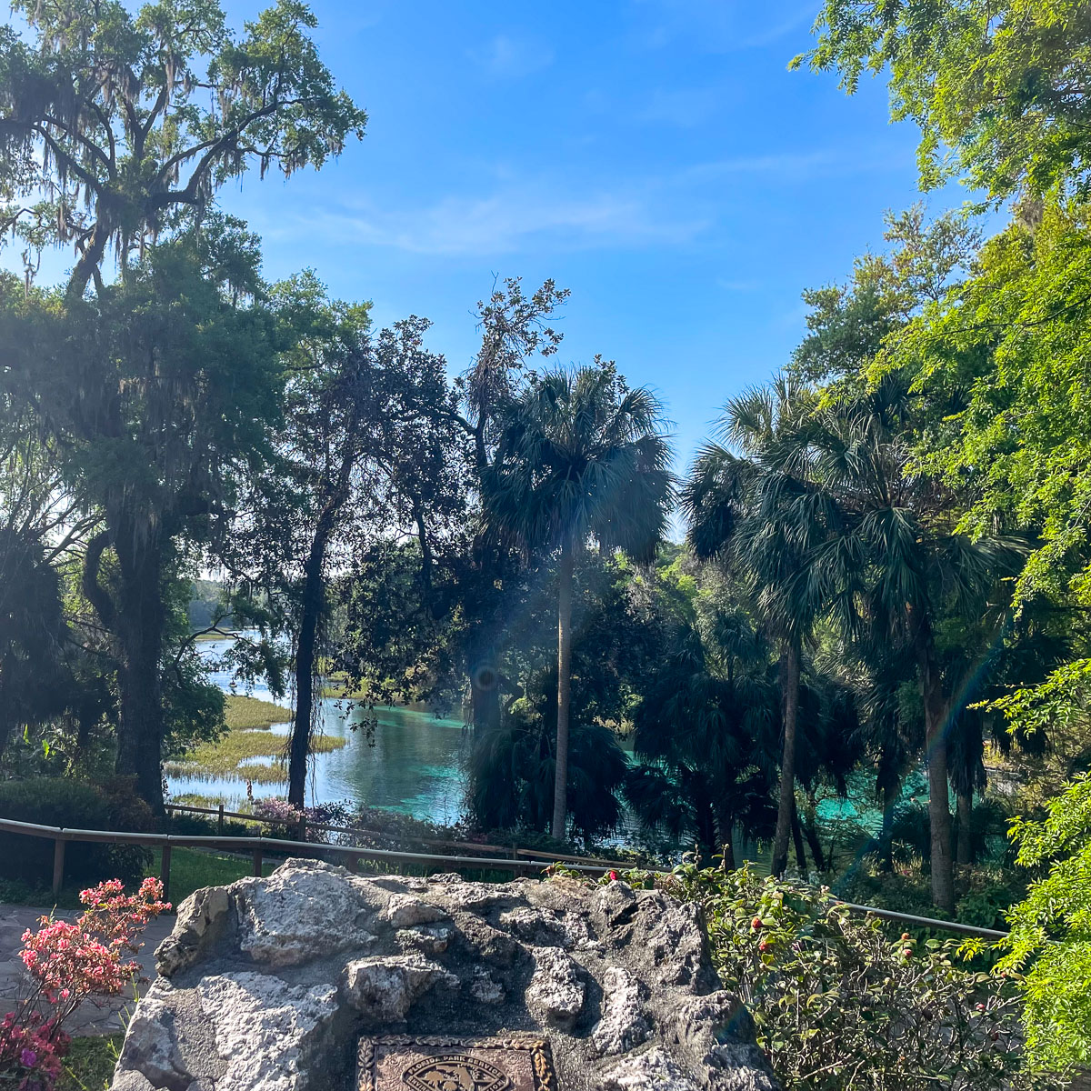 IMG_3765_2024-03 Ocala FL