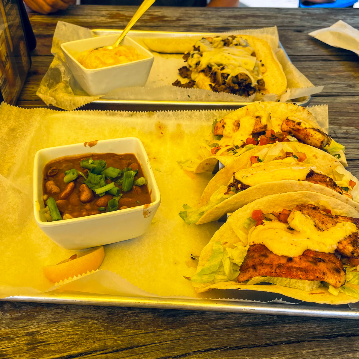 IMG_3779_2024-03 Ocala FL