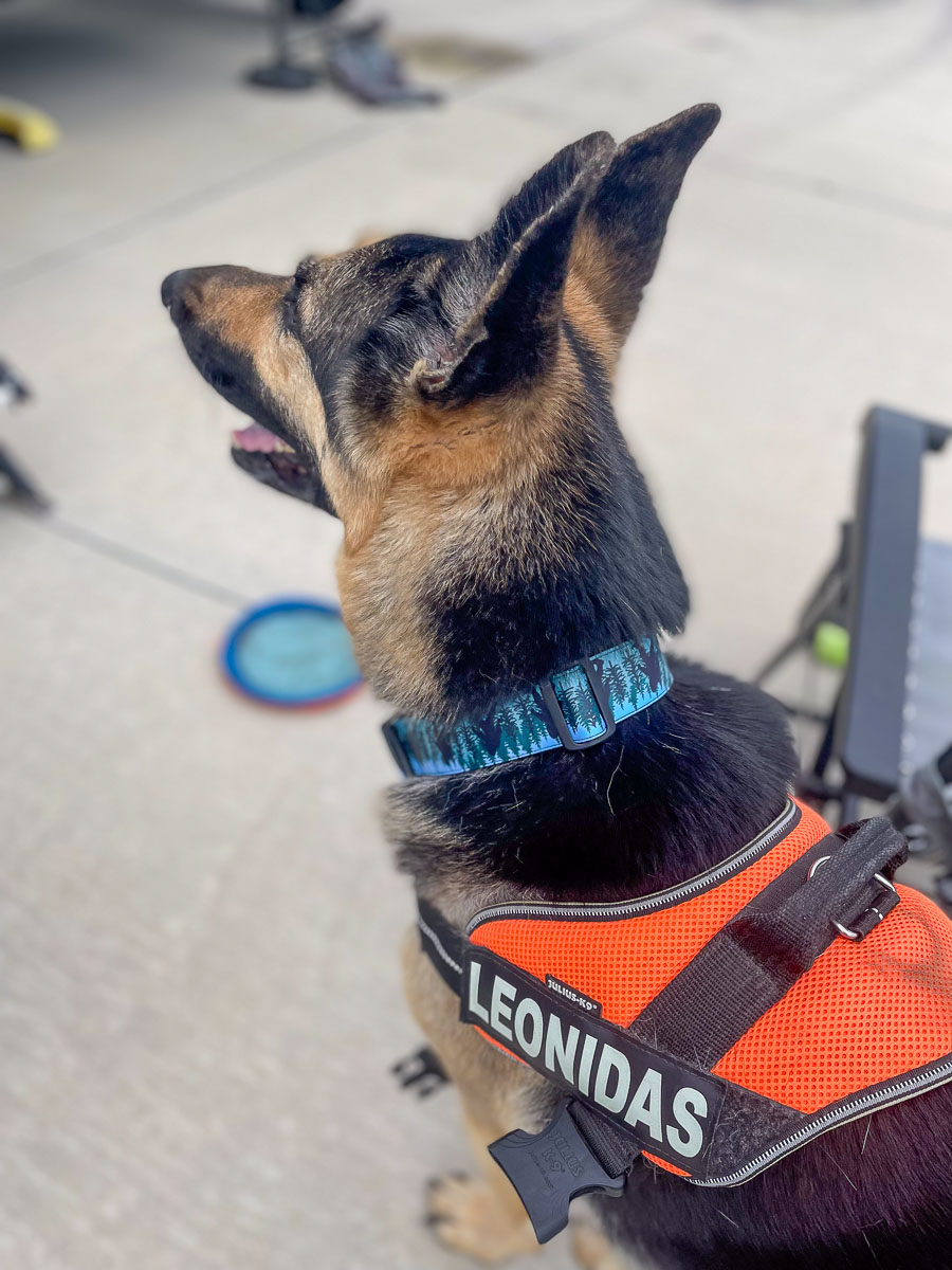 IMG_3794_2024-03 Ocala FL