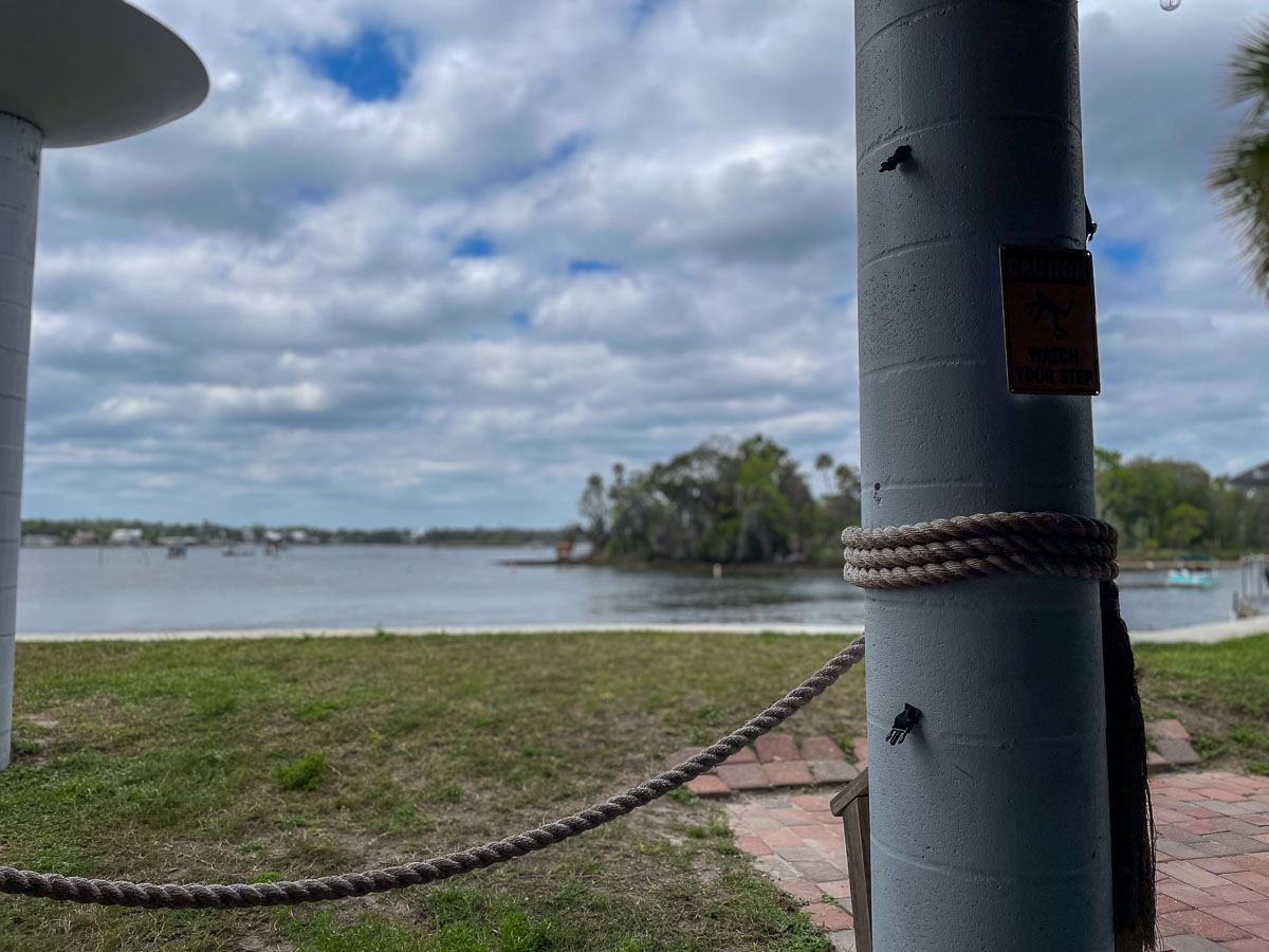 IMG_3819_2024-03 Ocala FL