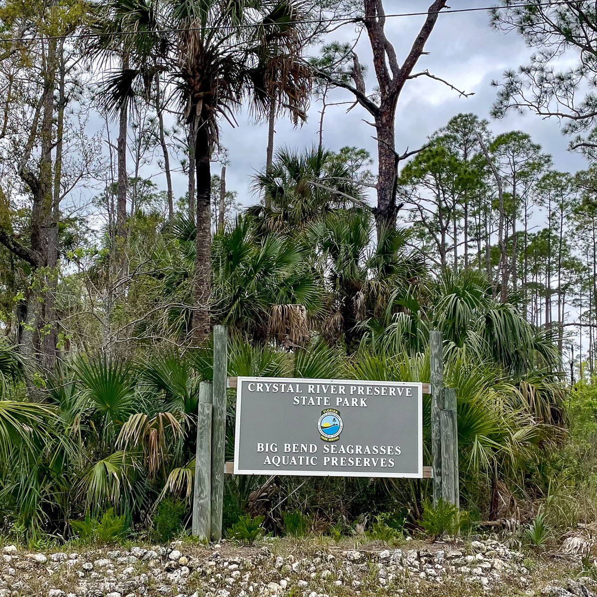 IMG_3827_2024-03 Ocala FL