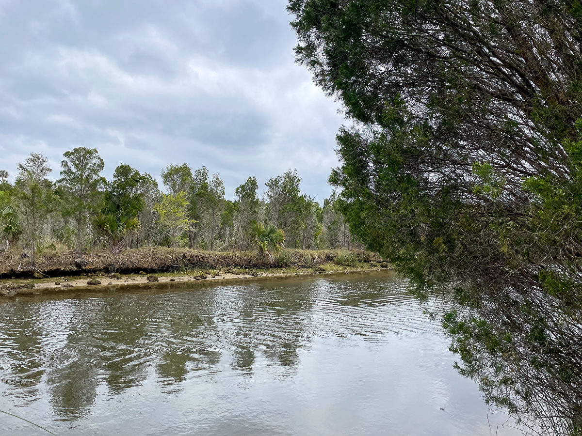 IMG_3830_2024-03 Ocala FL