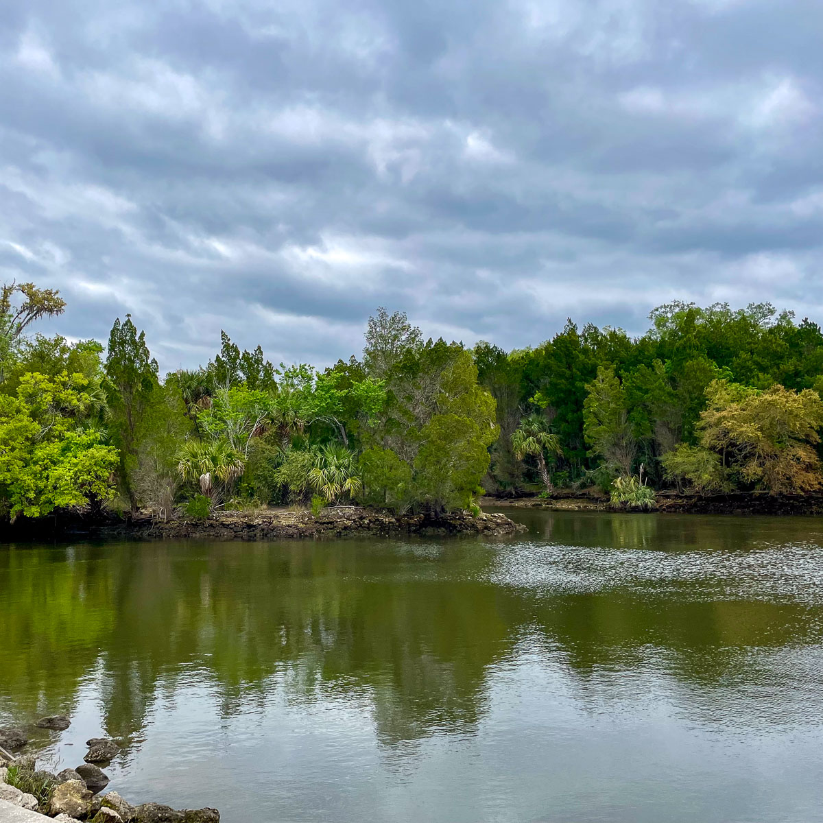 IMG_3831_2024-03 Ocala FL