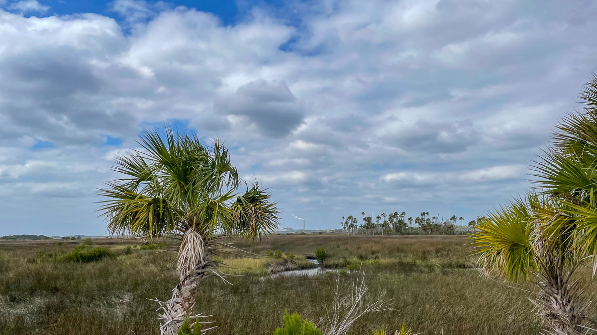 IMG_3834_2024-03 Ocala FL