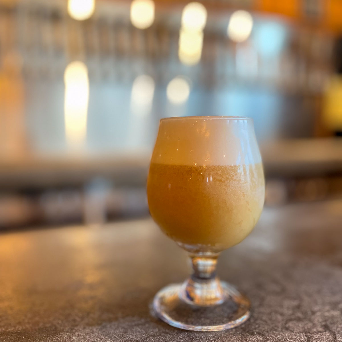 IMG_3862_2024-03 Ocala FL