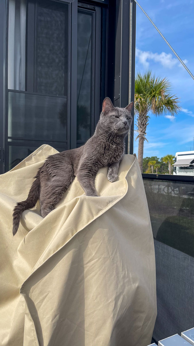 IMG_8569_2024-01 Lake Wales FL