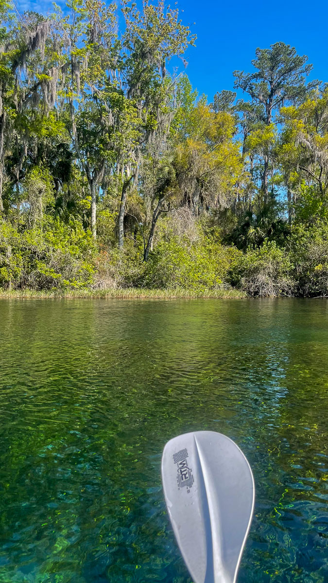 IMG_8795_2024-03 Ocala FL