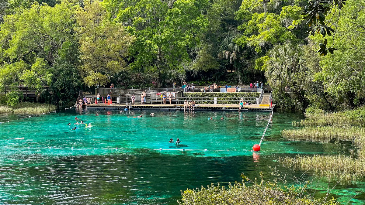 IMG_8805_2024-03 Ocala FL