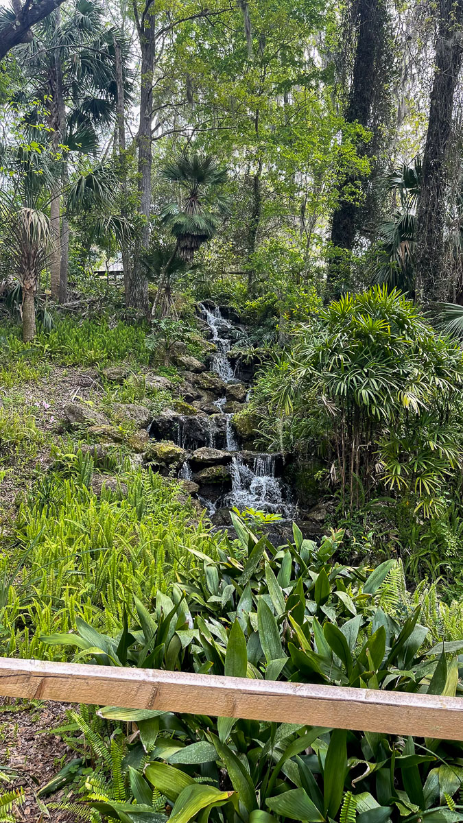 IMG_8806_2024-03 Ocala FL