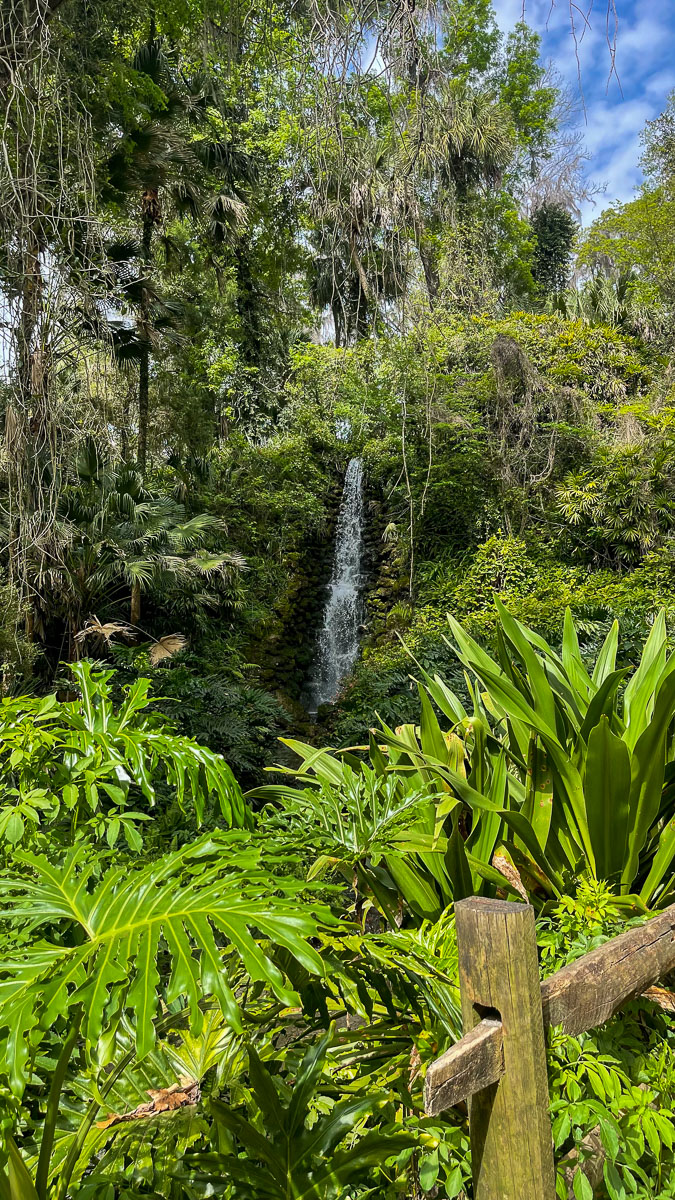 IMG_8811_2024-03 Ocala FL