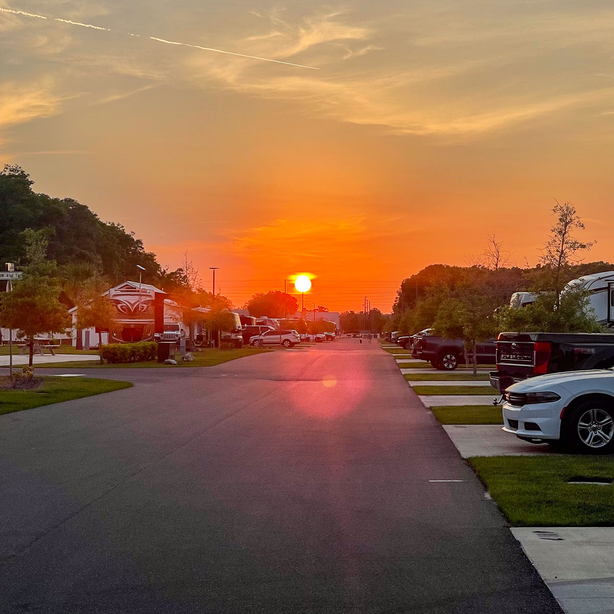 IMG_8816_2024-03 Ocala FL