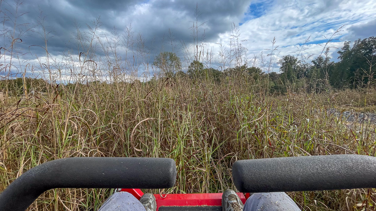 IMG_9442_2024-10-01 Ocoee TN