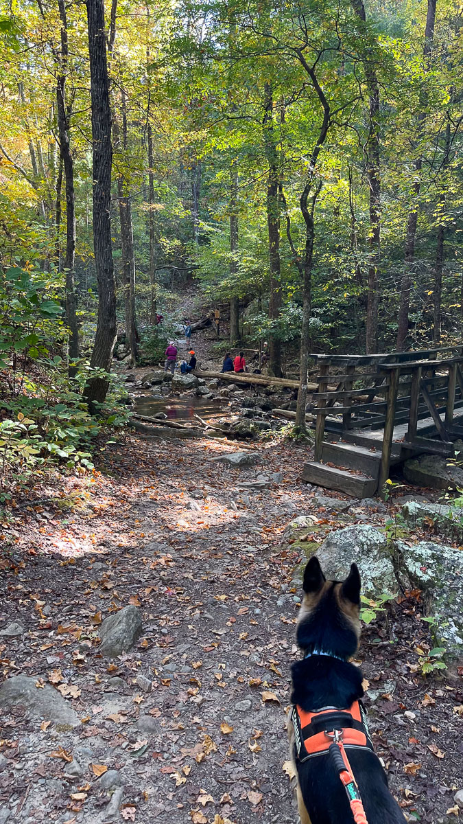 IMG_9474_2024-10-01 Ocoee TN