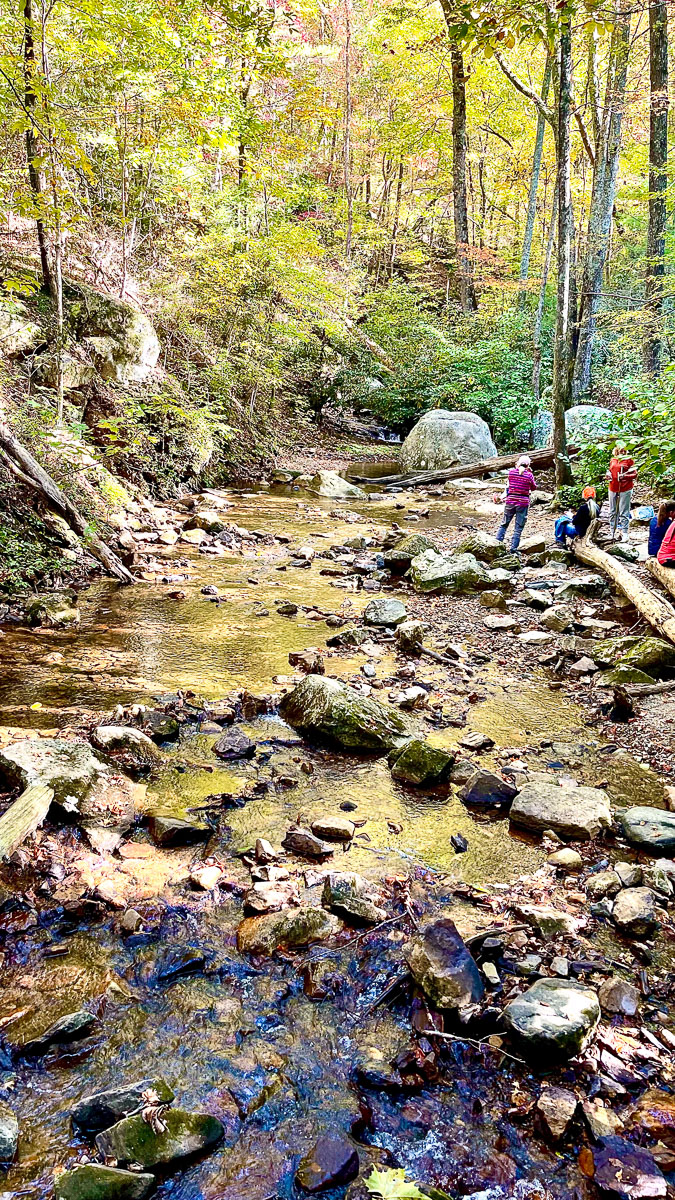 IMG_9479_1_2024-10-01 Ocoee TN