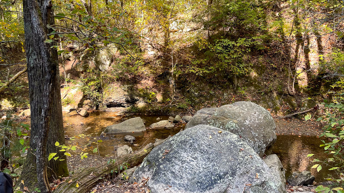 IMG_9482_2024-10-01 Ocoee TN