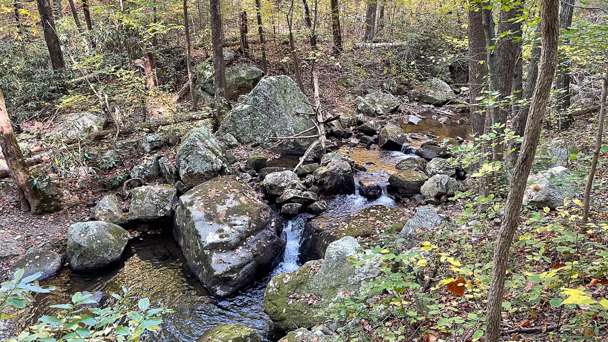 IMG_9486_2024-10-01 Ocoee TN