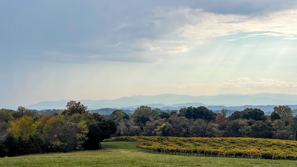 IMG_9493_2024-10-01 Ocoee TN